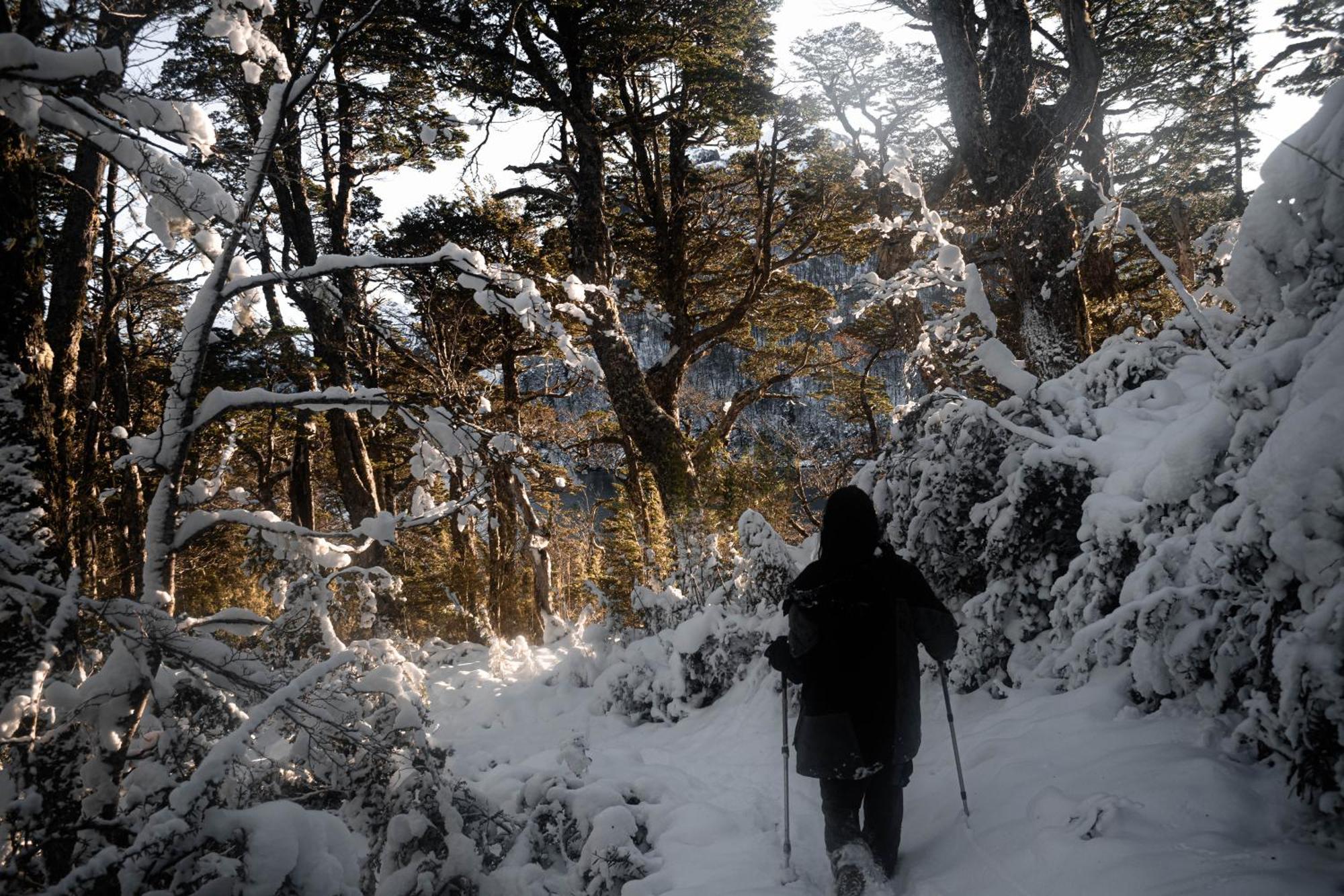 Indómito San Carlos de Bariloche